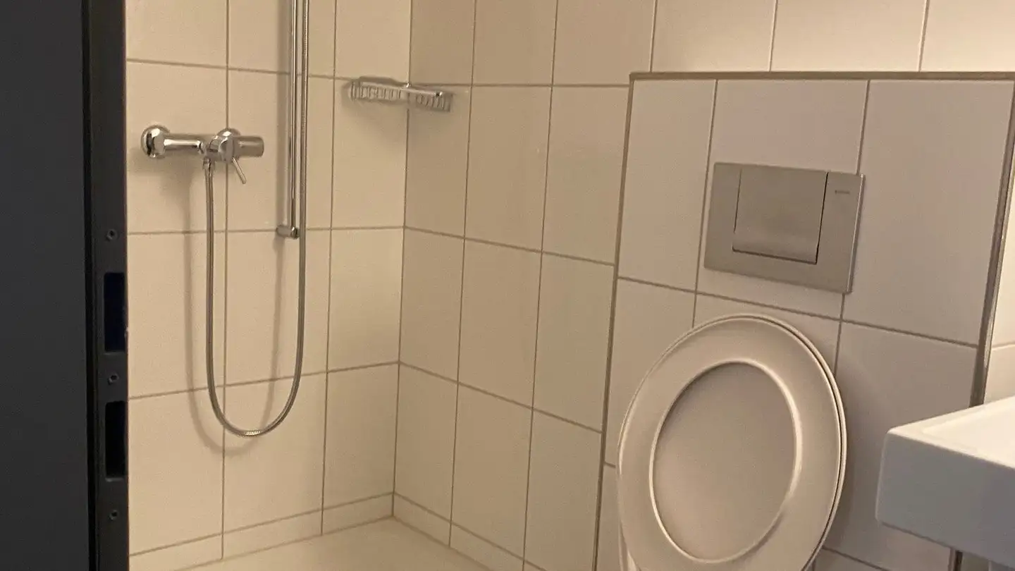 Appartamento in affitto - Zelgistrasse 26, 8266 Steckborn - Foto 4