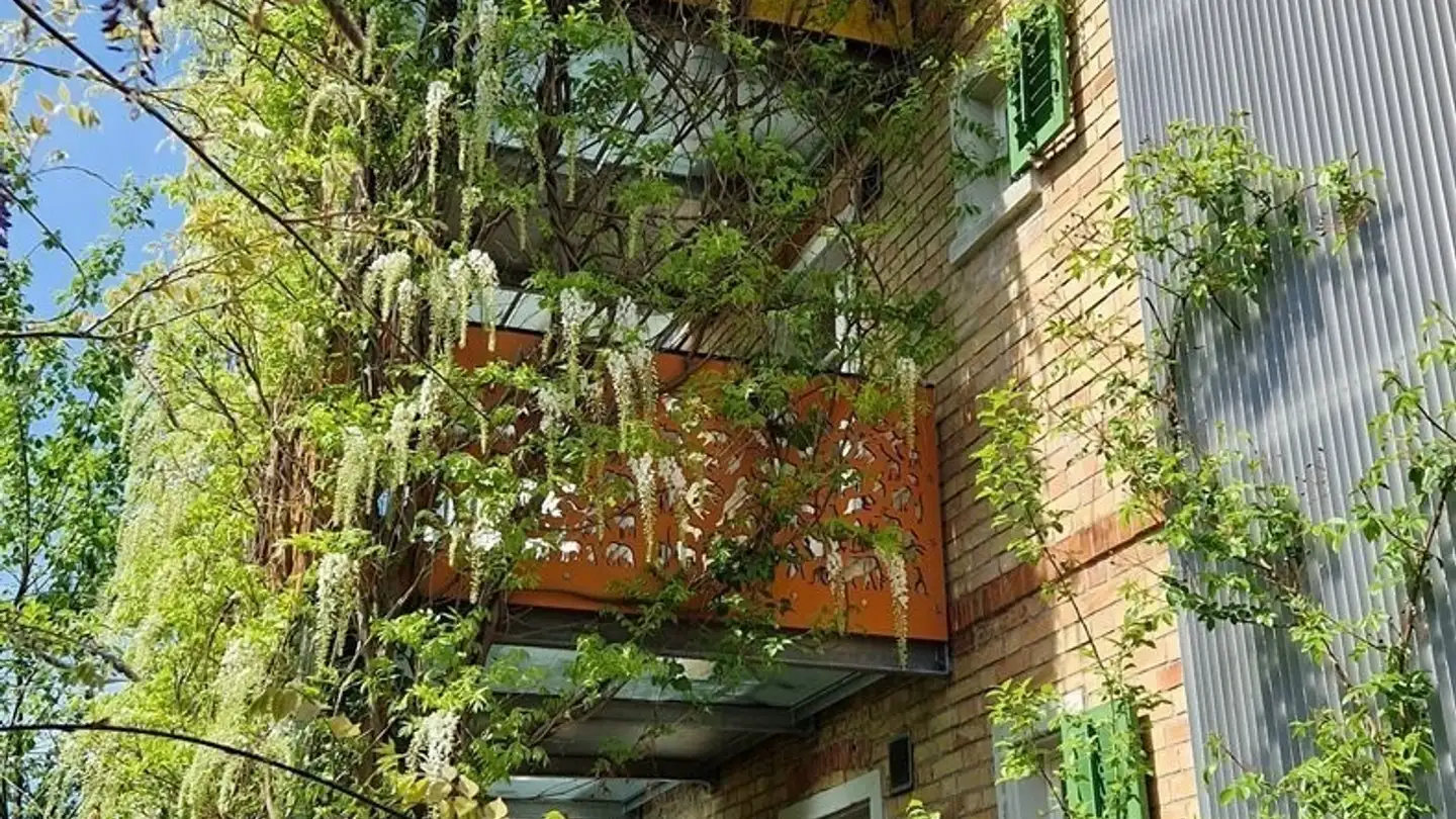 Appartamento in affitto - Wasserfurristrasse 3, 8406 Winterthur - Foto 3