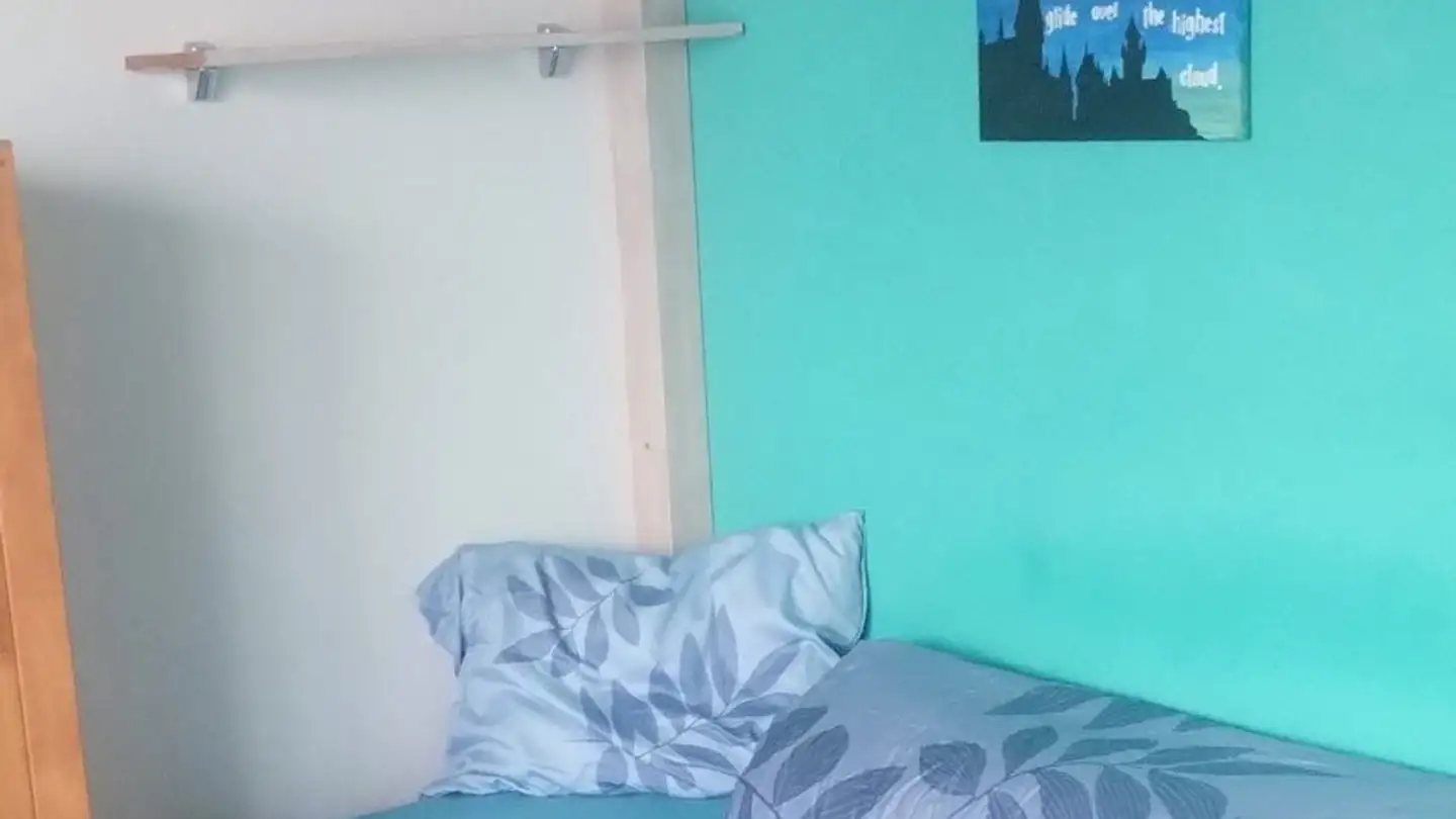 Single room for rent - 4629 Fulenbach - Photo 3