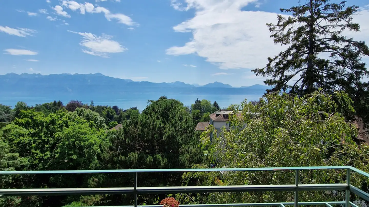 Stanza singola in affitto - Chemin De Montolivet 19, 1006 Lausanne - Photo 4