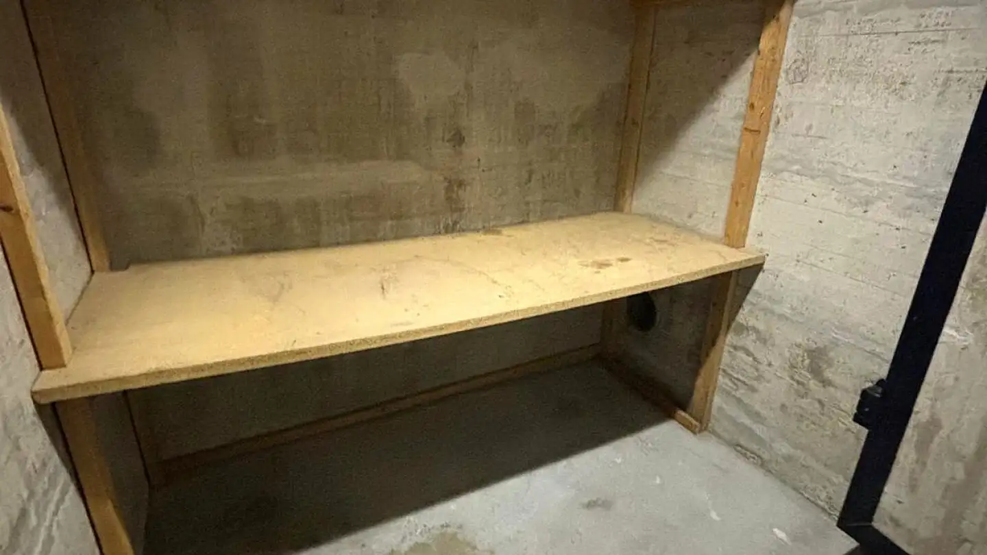 Lagerraum mieten - Hinterdorf, 9055 Bühler - Foto 3