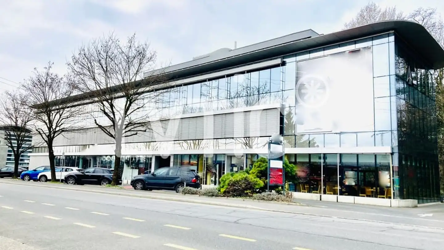 Commerciale in affitto - 1023 Crissier