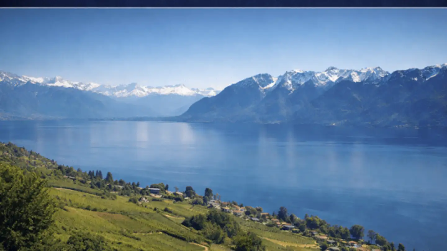 Commercial for sale - 1260 Nyon