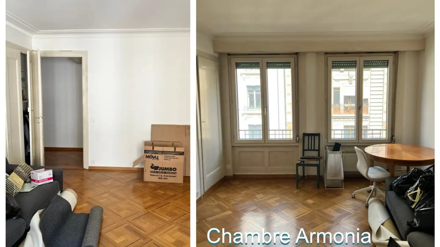 Stanza singola in affitto - Rue Emile- Yung 5, 1205 Genève