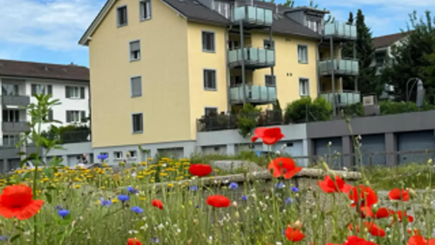 Apartment for rent - Friedenstrasse 10, 8304 Wallisellen