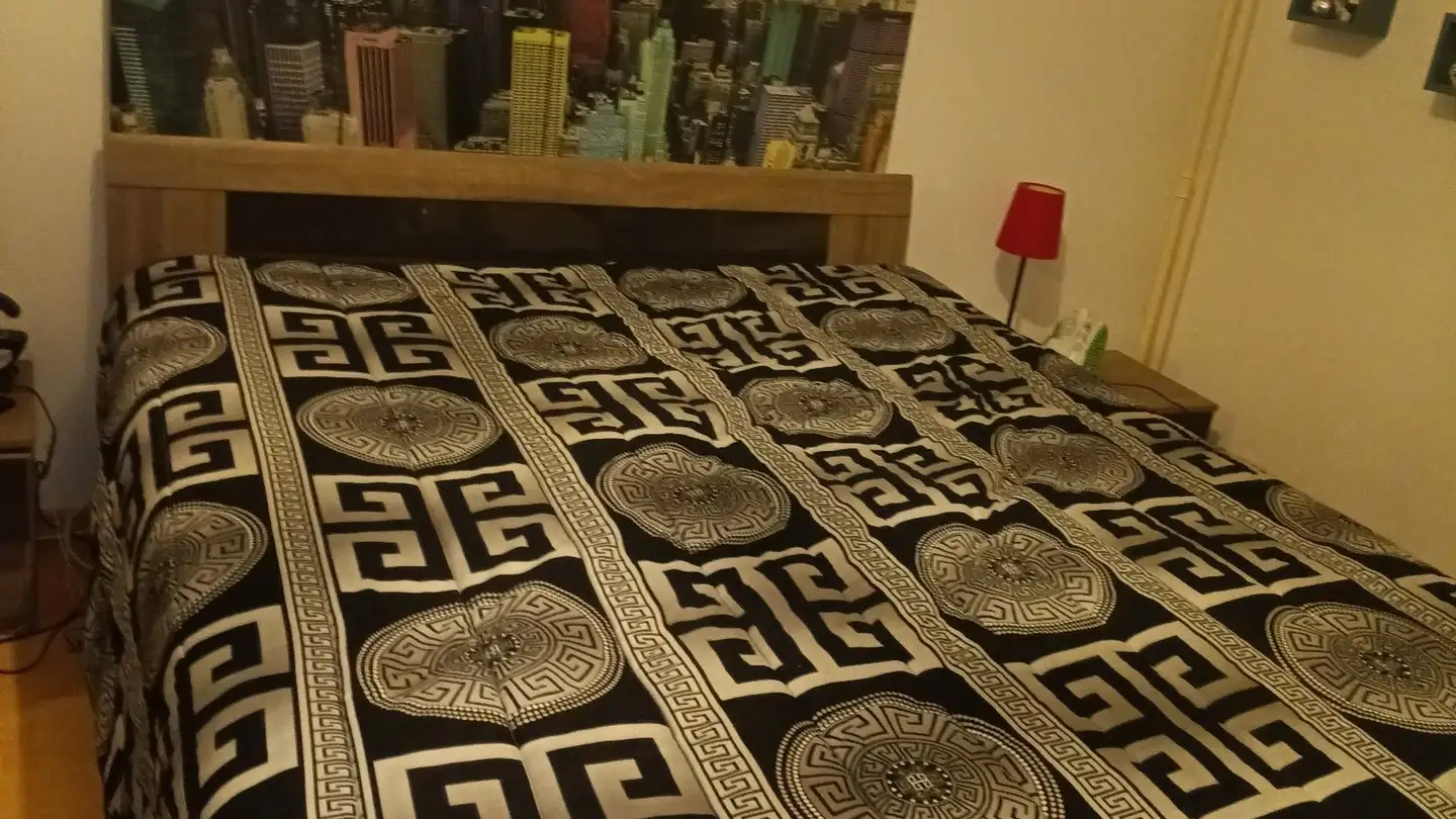 Single room for rent - Chemin De La Cassinette 9, 1018 Lausanne