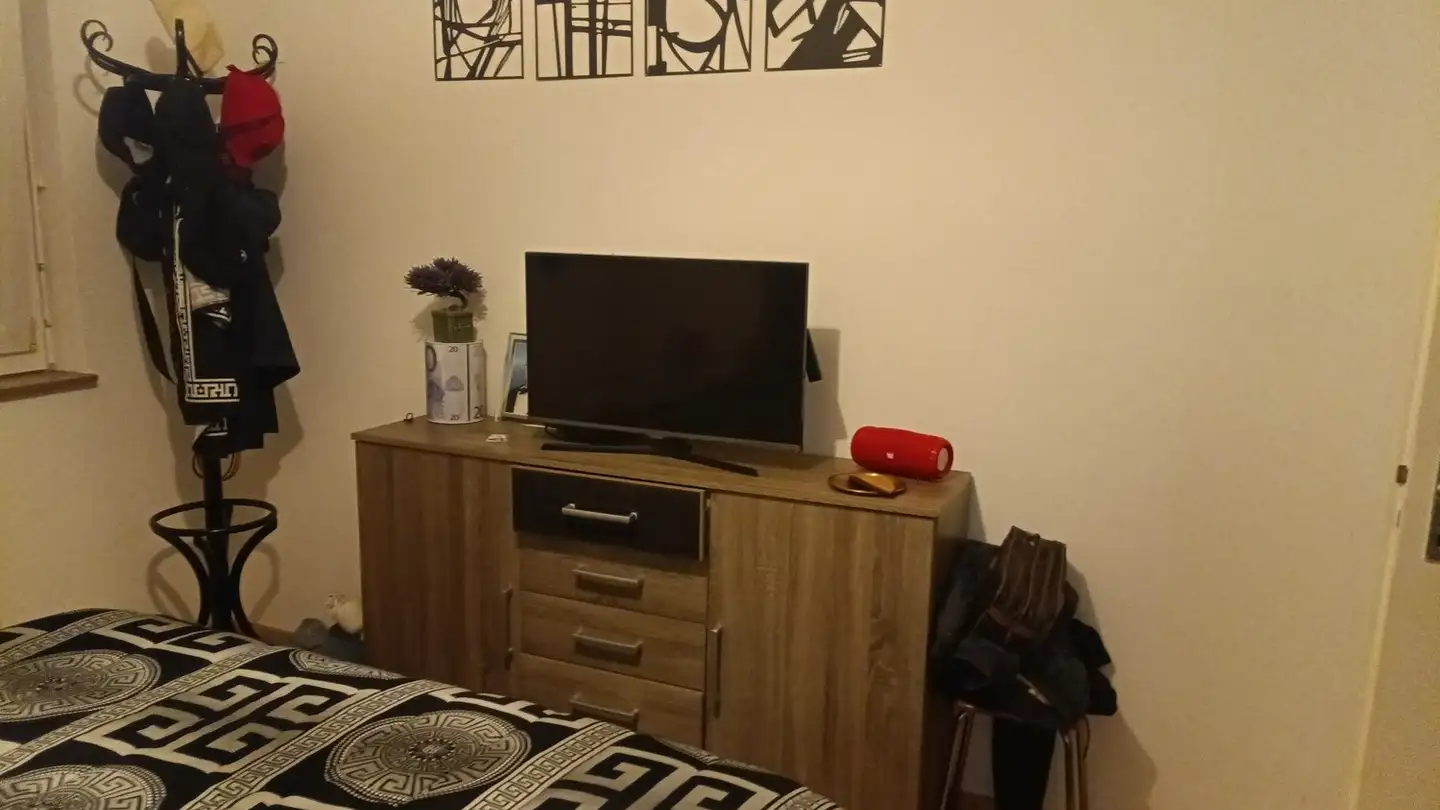 Single room for rent - Chemin De La Cassinette 9, 1018 Lausanne - Photo 4