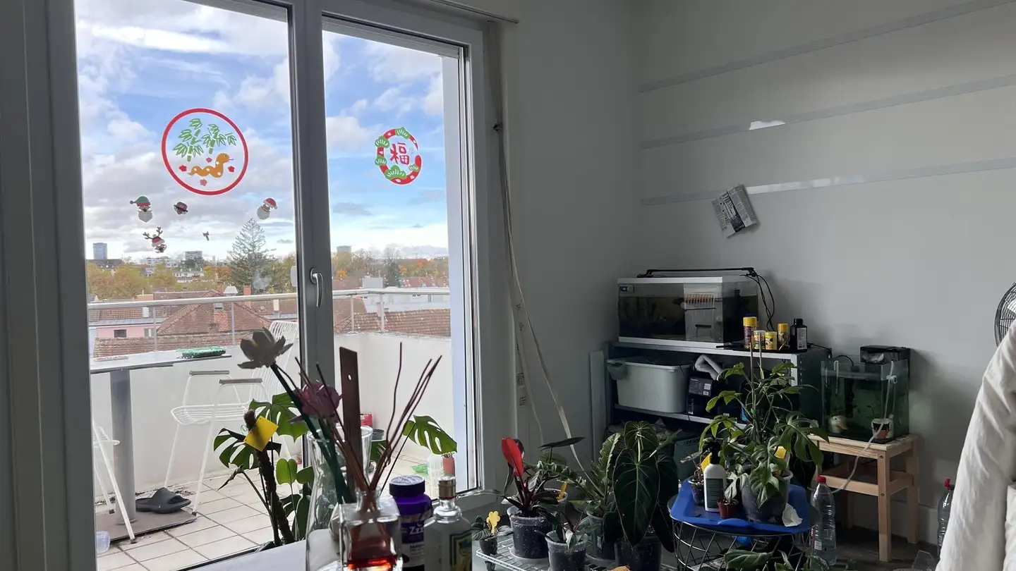 Chambre à louer - 4127 Birsfelden