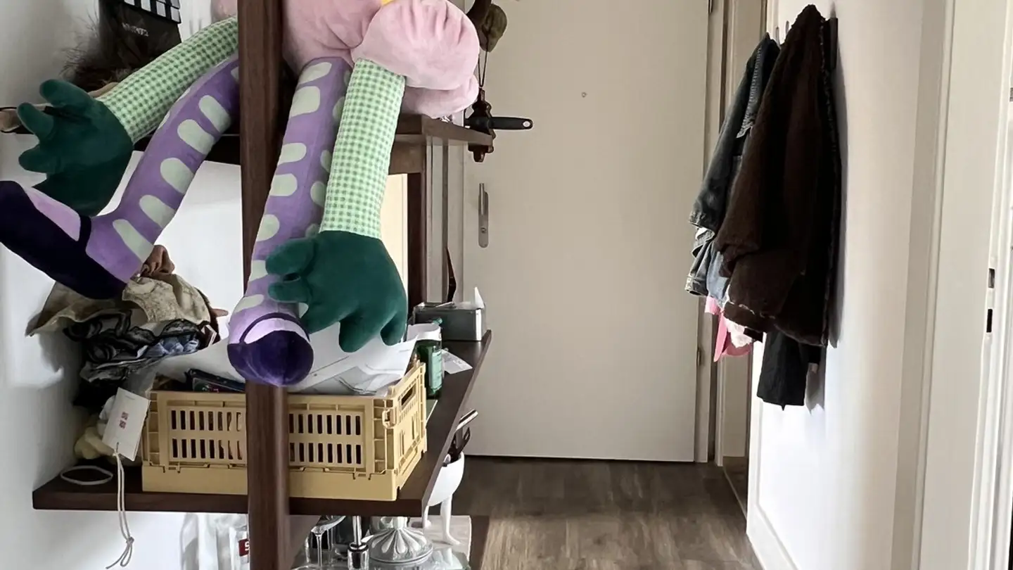 Stanza singola in affitto - 4127 Birsfelden - Foto 3