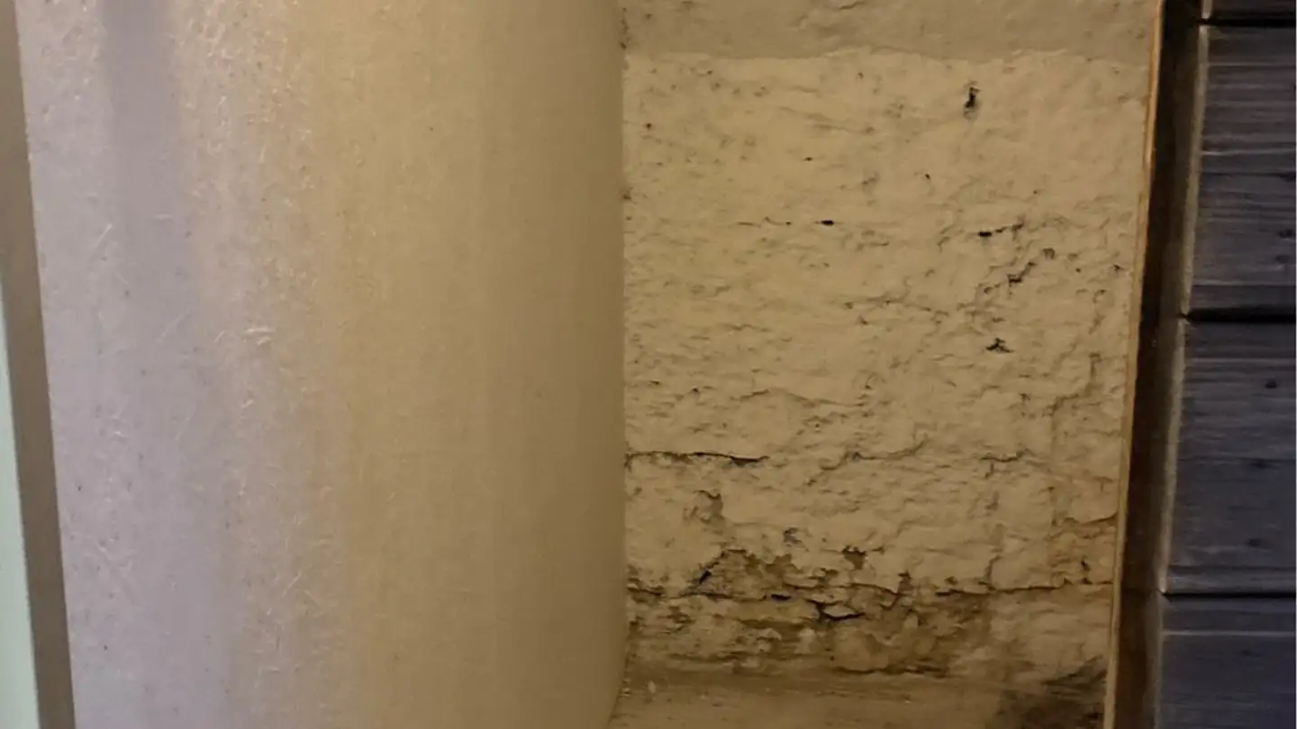 Apartment for rent - Moosgasse 11, 3274 Hermrigen - Photo 4