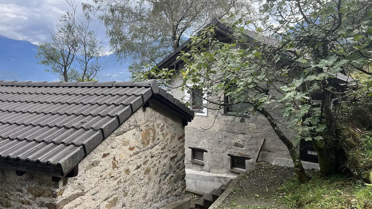 Maison à vendre - Via Ronco Ferrini 12, 6592 S. Antonino