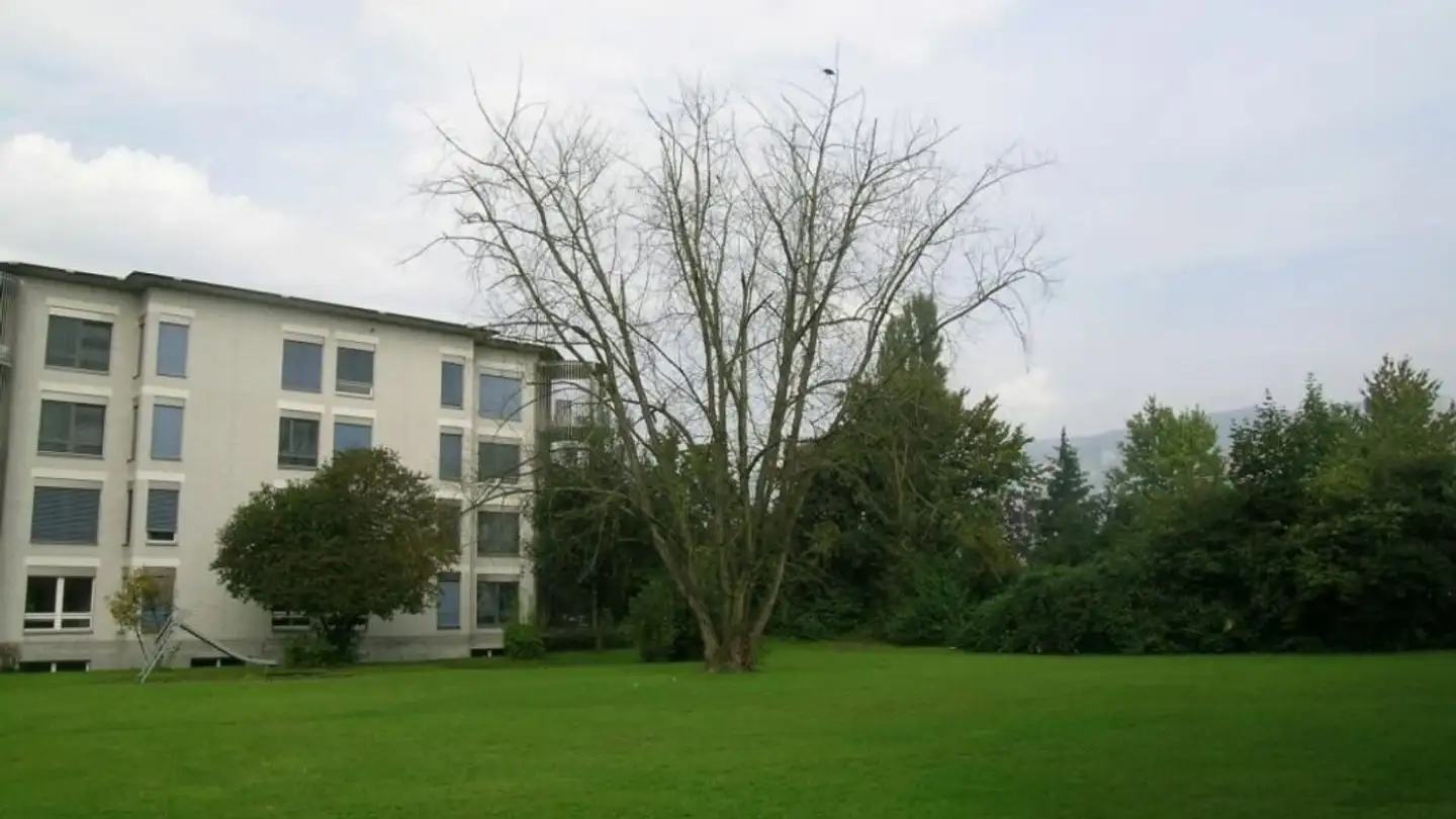 Appartamento in affitto - Dorfackerstrasse 27, 4528 Zuchwil - Foto 2