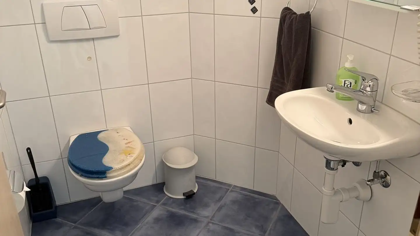 Appartamento in affitto - Hasenmoosstrasse 17, 5704 Egliswil - Foto 3