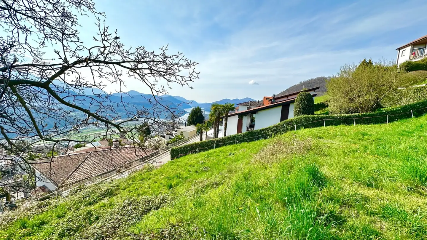 Constructible plot for sale - 6936 Cademario - Photo 2