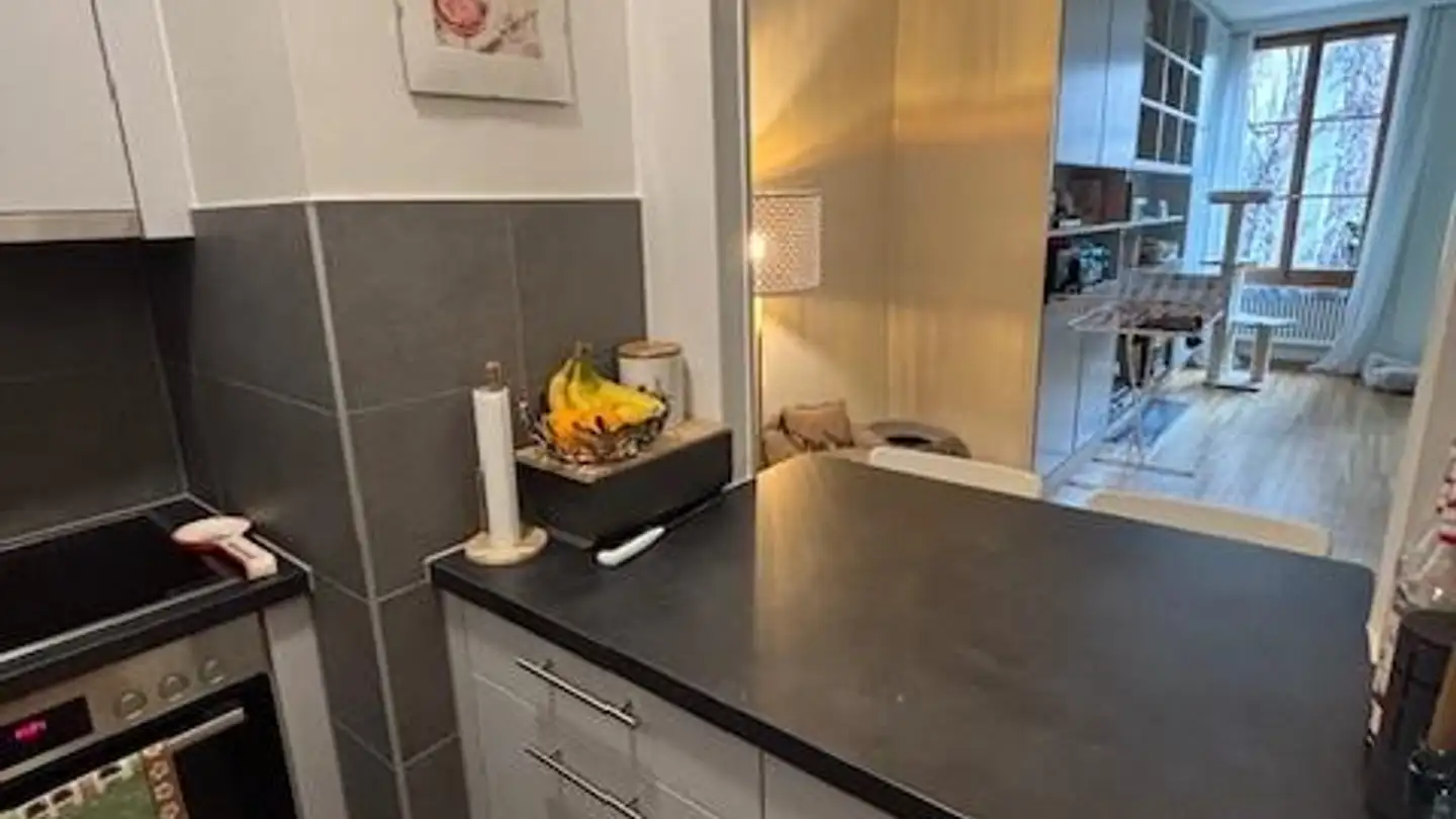 Apartment for rent - Rue Etienne- Dumont 3, 1204 Genève - Photo 4