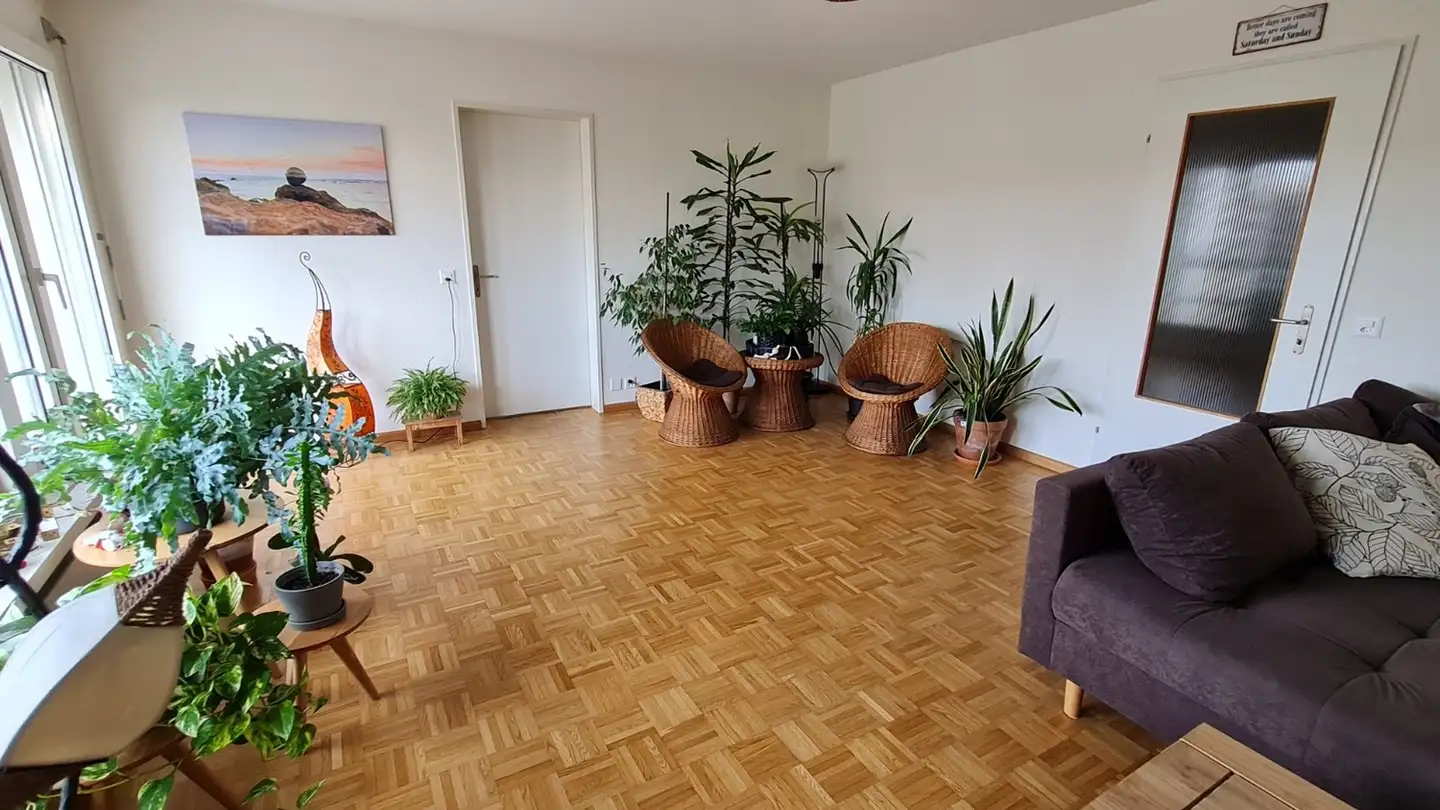 Furnished apartment for rent - 4127 Birsfelden