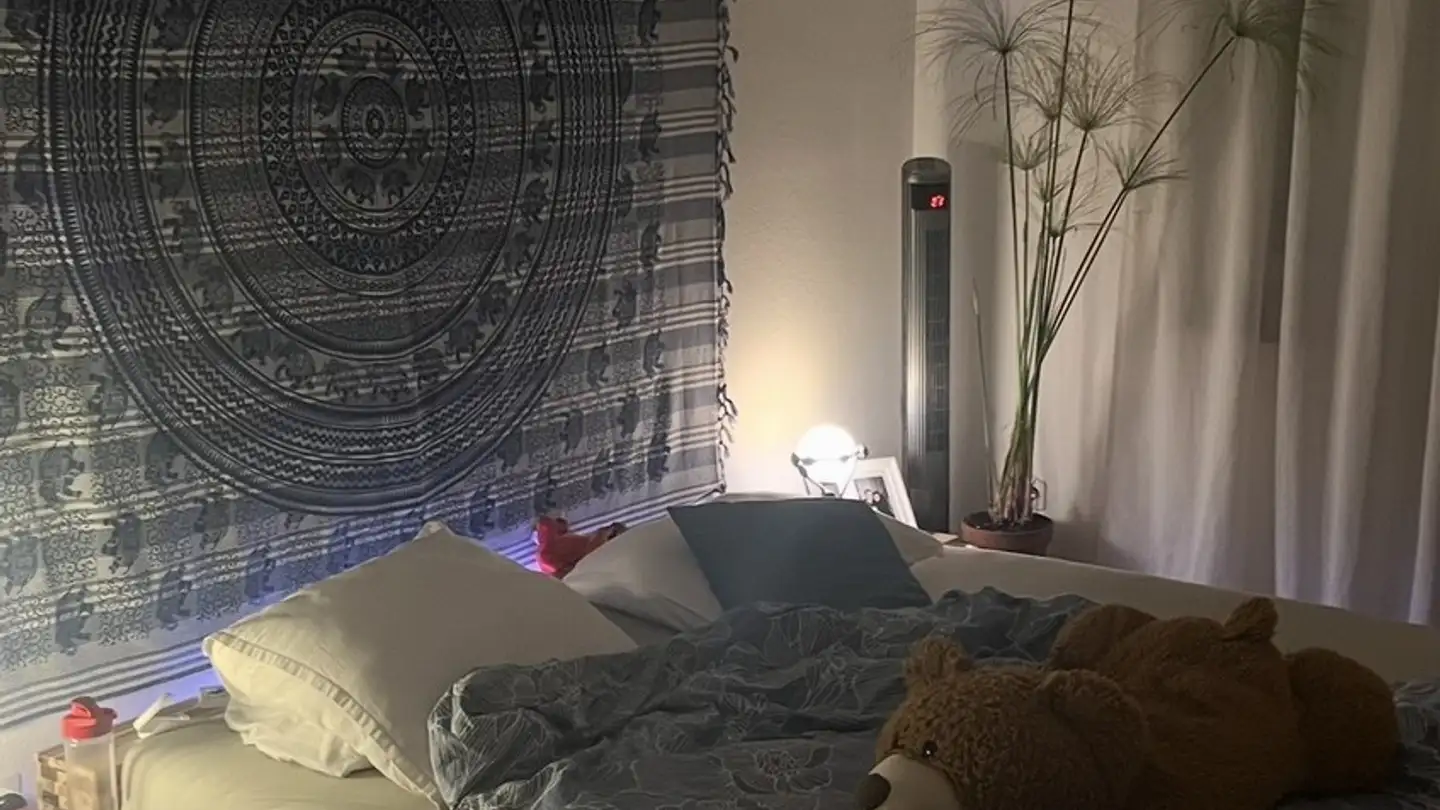 Appartamento in affitto - Wiesenstrasse 5, 8630 Rüti ZH - Foto 3