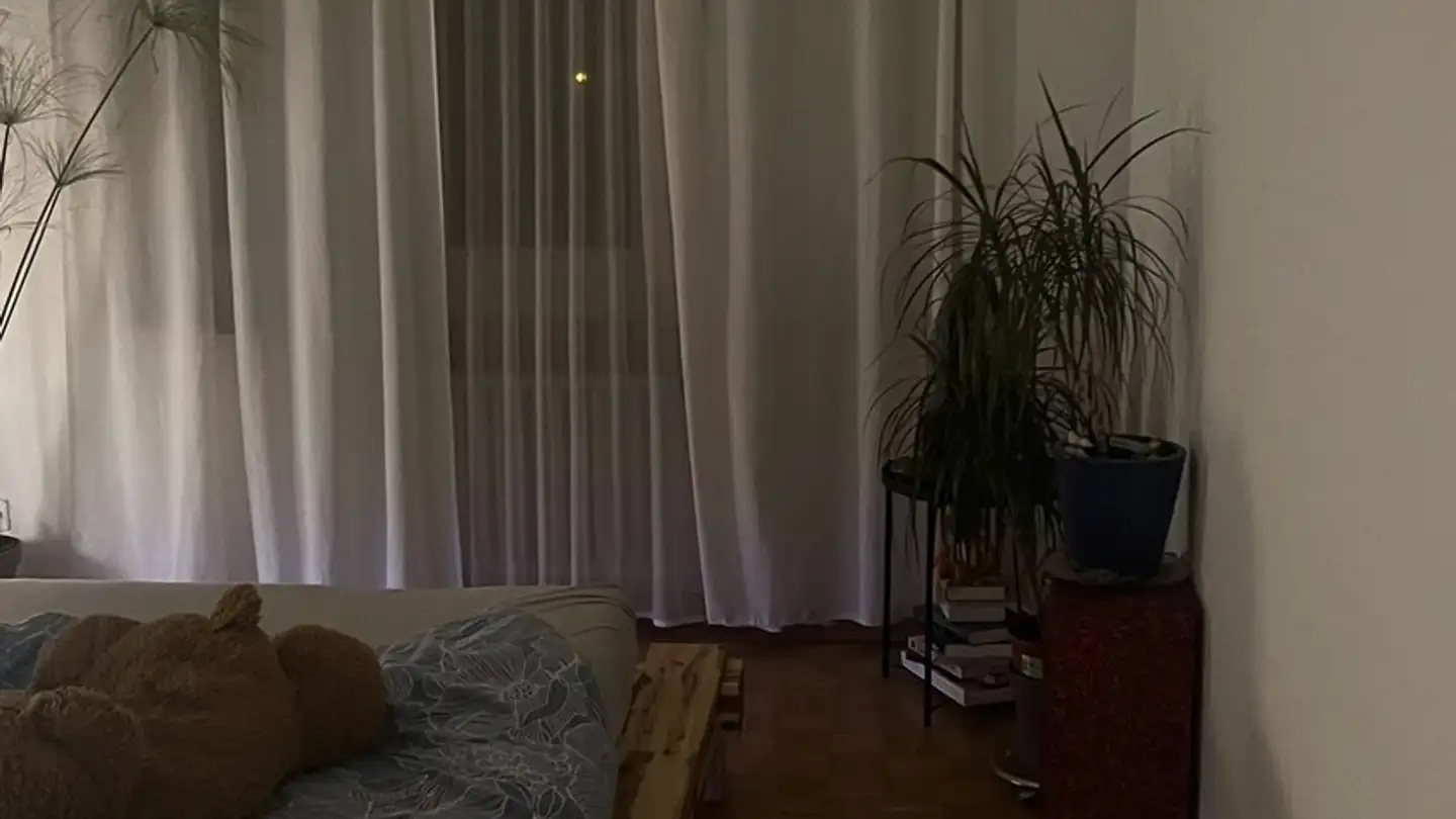 Appartamento in affitto - Wiesenstrasse 5, 8630 Rüti ZH - Foto 4