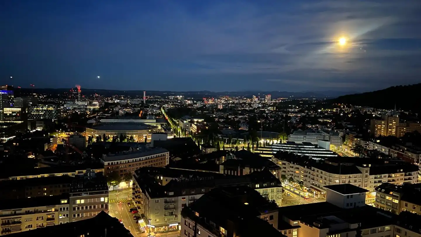 Loft for rent - Hofwiesenstrasse 360, 8050 Zürich