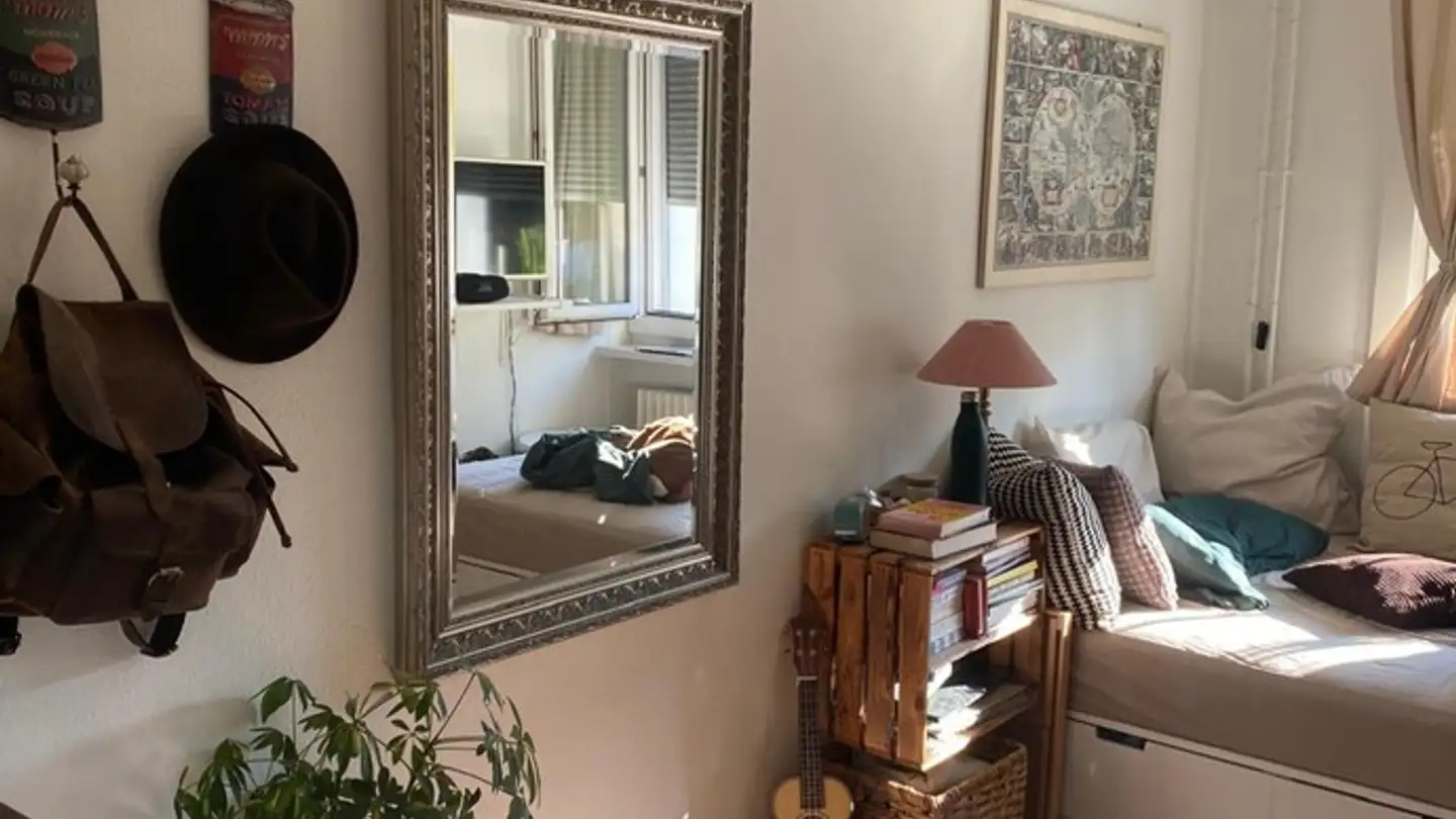 Chambre à louer - 8047 Zürich