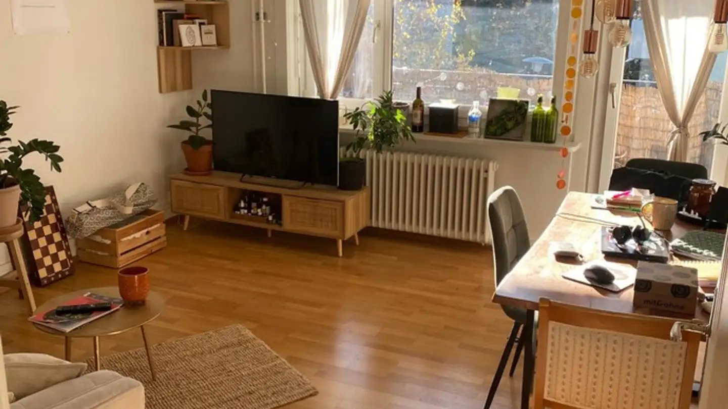Chambre à louer - 8047 Zürich - Photo 4