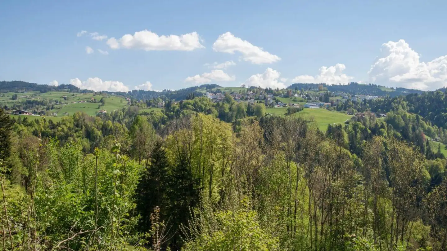 Fattoria in vendita - Oberach, 9038 Rehetobel - Photo 4
