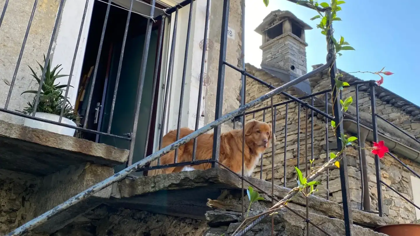 Appartamento in affitto - Vicolo Cappella 18, 6596 Gordola - Foto 4