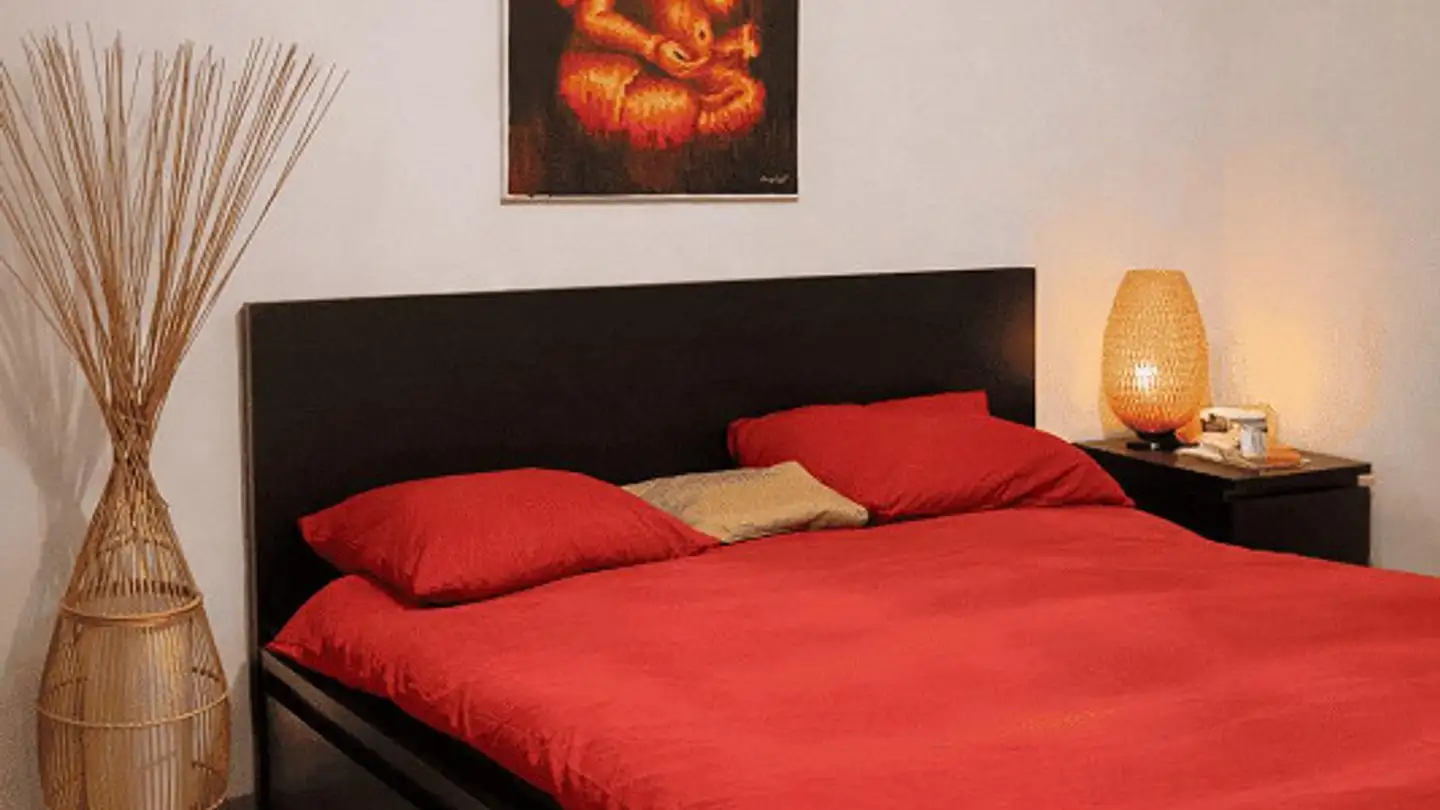 Casa a gradini in affitto - 1040 Echallens - Foto 2