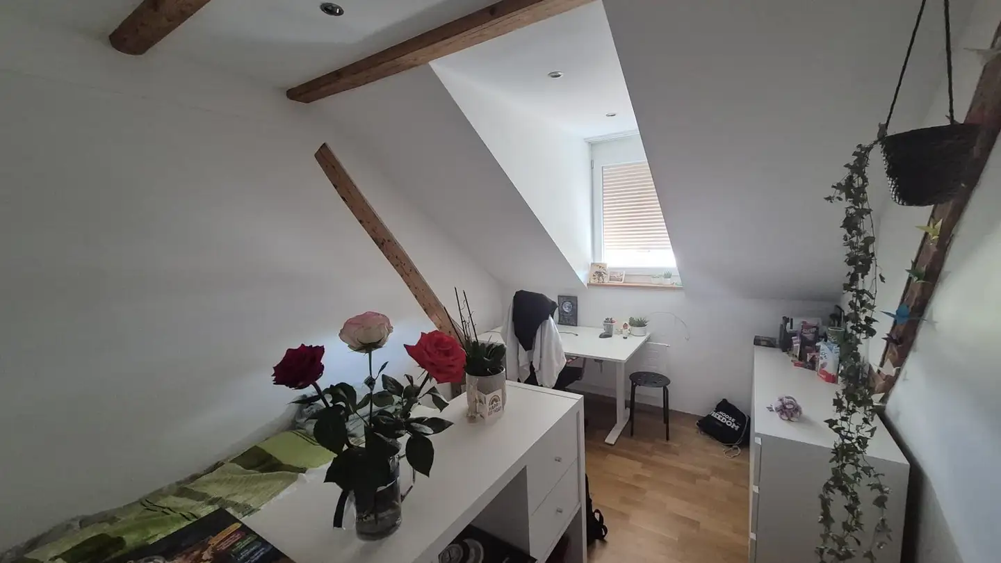 Stanza singola in affitto - Ulrich-Hegner-Strasse 10, 8400 Winterthur - Foto 2