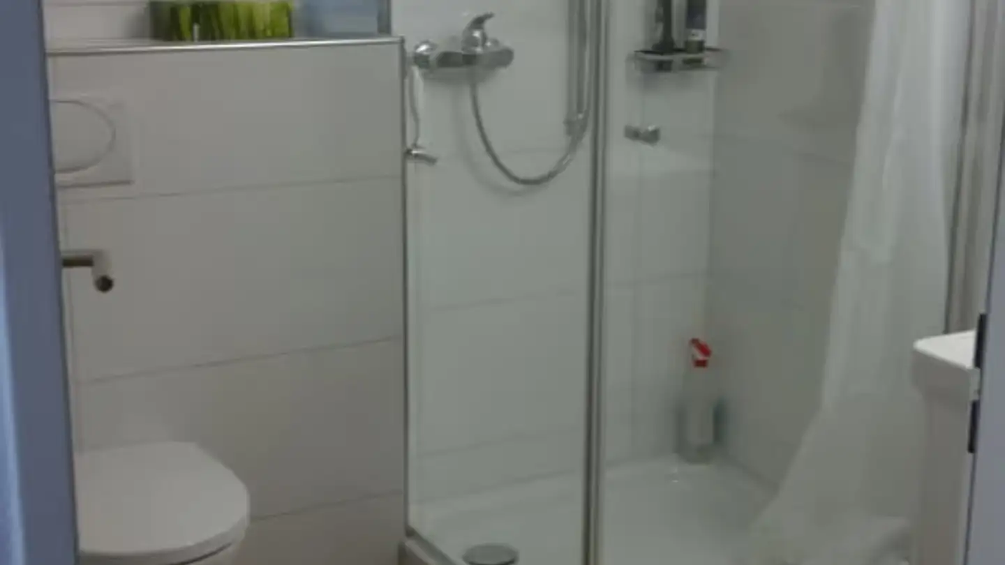 Studio mieten - Allenwindenstrasse 19, 8735 Rüeterswil - Foto 3