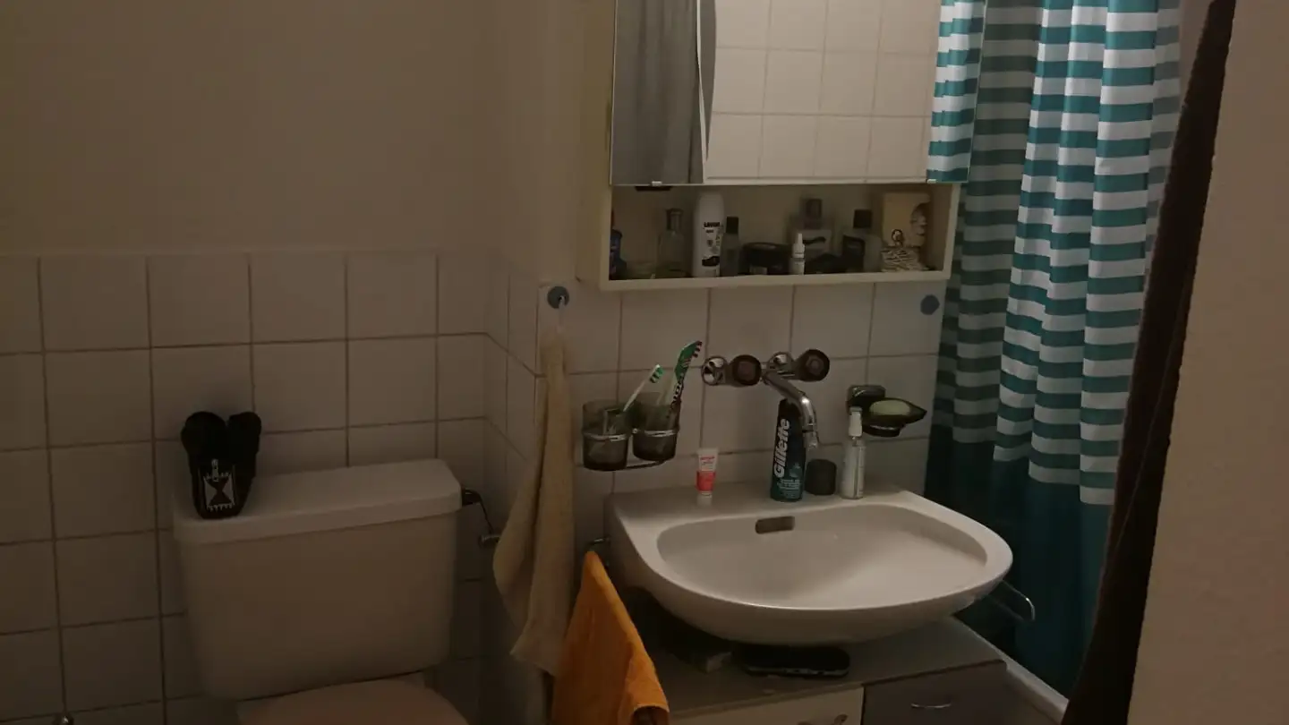 Apartment for rent - Opfikonstrasse 139, 8050 Zürich - Photo 2