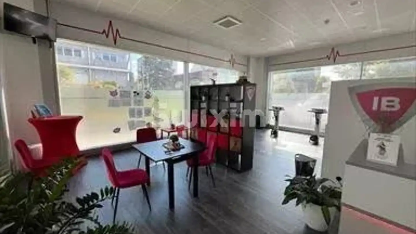 Commercial à vendre - Route Du Grand-Lancy, 1212 Grand-Lancy - Photo 3