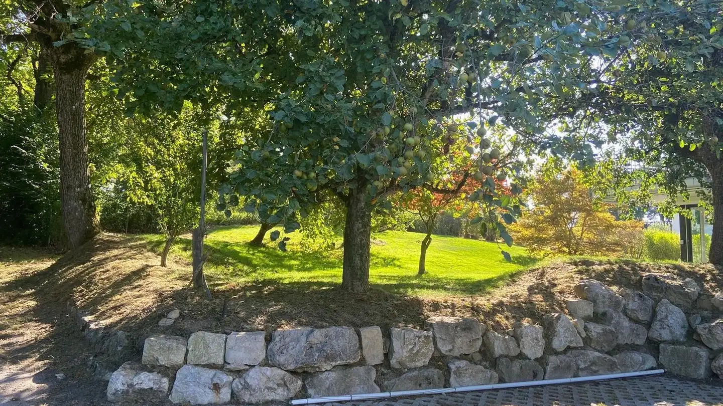 Casa bifamiliare in affitto - Steig, 5304 Endingen - Photo 2