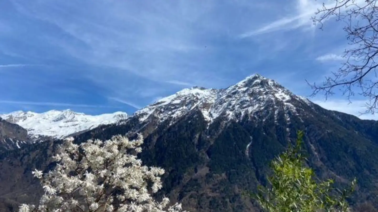 Einfamilienhaus kaufen - 6723 Castro - Foto 4