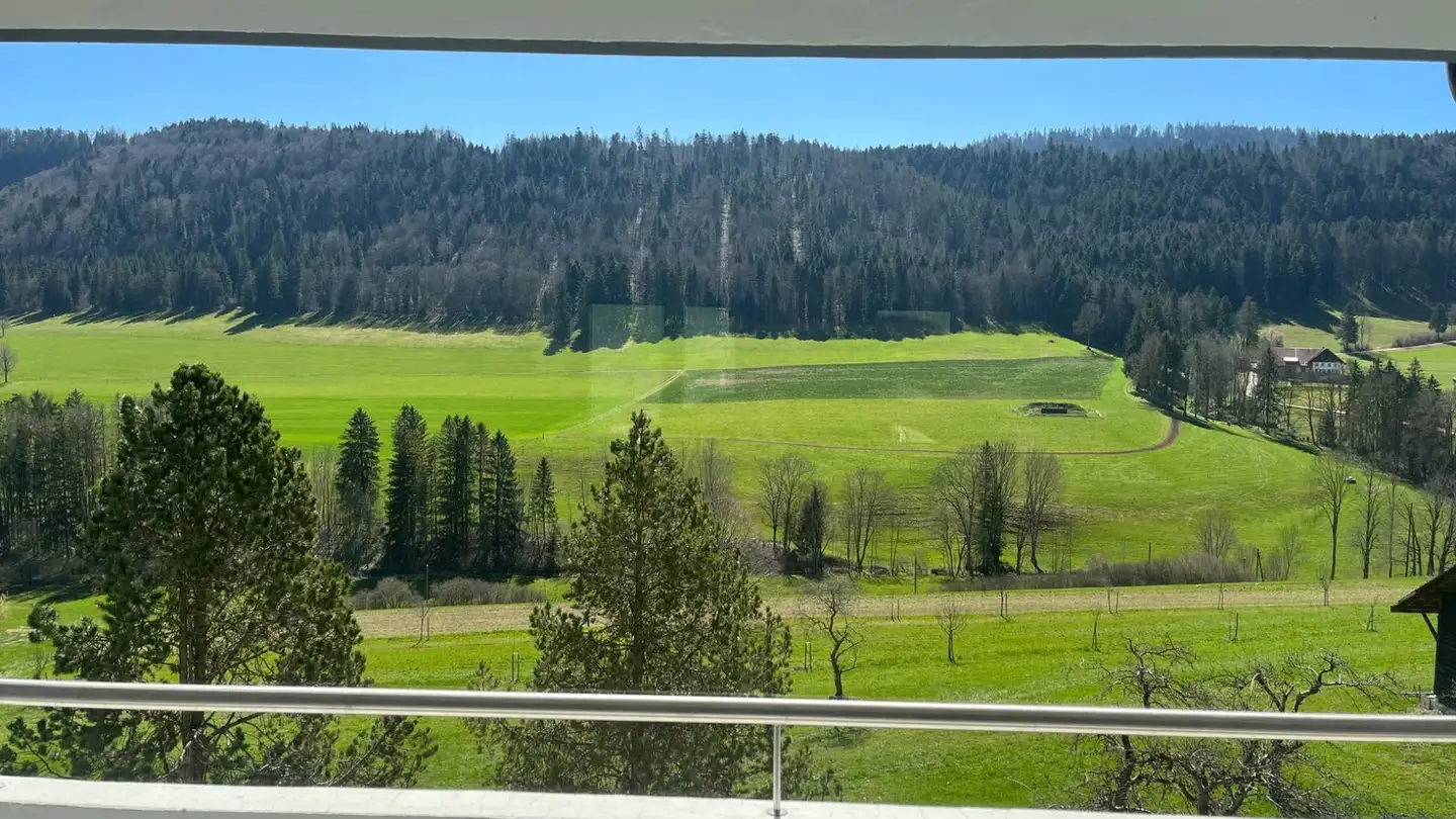 Appartamento in affitto - Grand-Rue 5, 2616 Renan BE