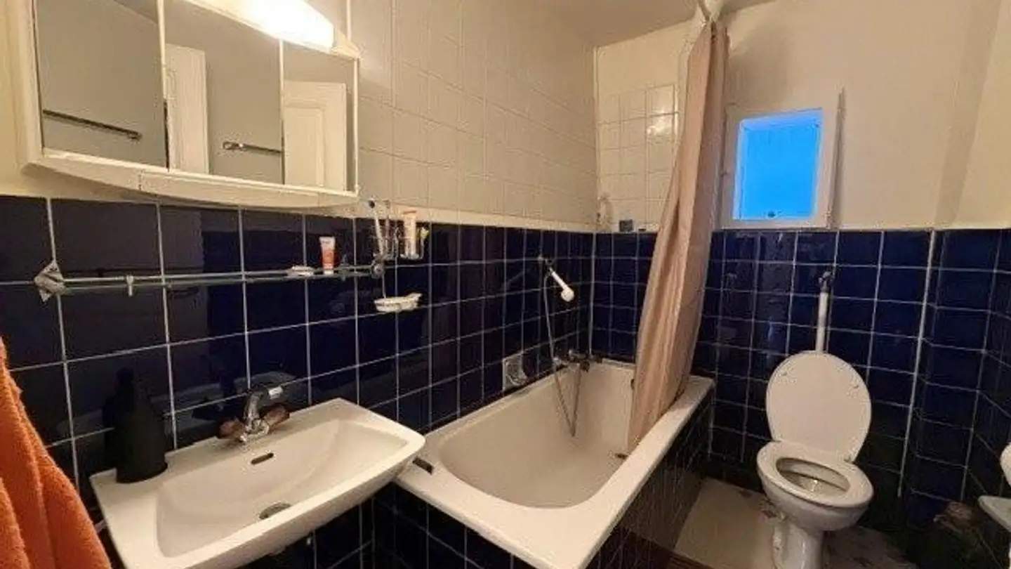 Apartment for rent - Rue Du Mont 6, 1023 Crissier - Photo 4