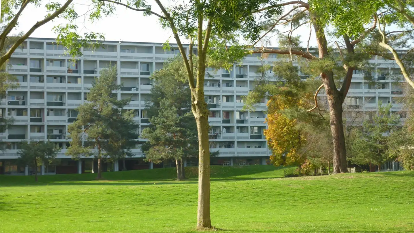 Apartment for rent - 5242 Birr