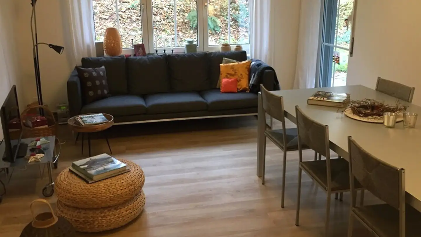 Appartamento in affitto - 8125 Zollikerberg