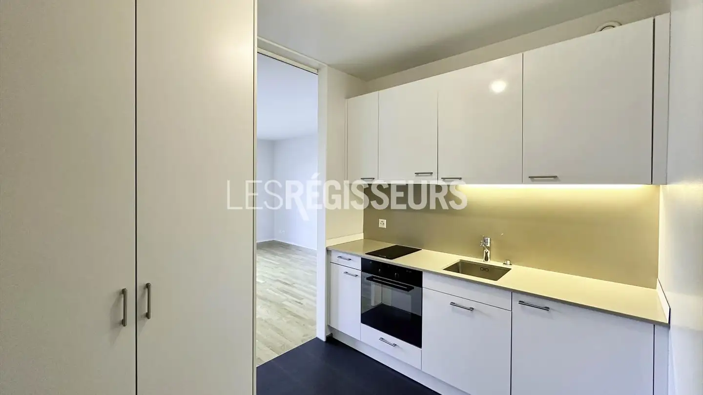 Appartamento in affitto - Route De Malagnou 123, 1224 Chêne-Bougeries - Photo 4