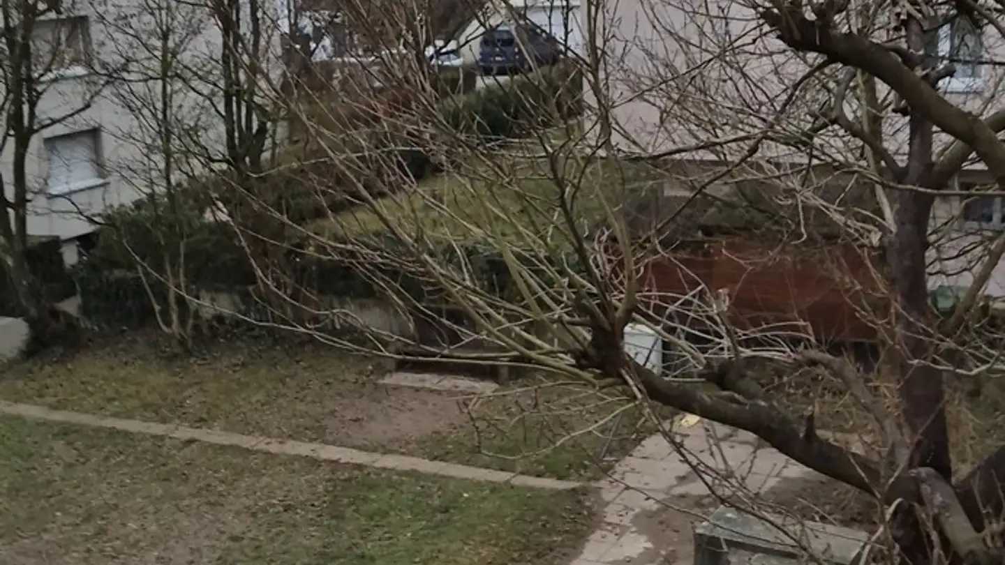 Zimmer mieten - Regensdorferstrasse 44, 8108 Dällikon - Foto 4