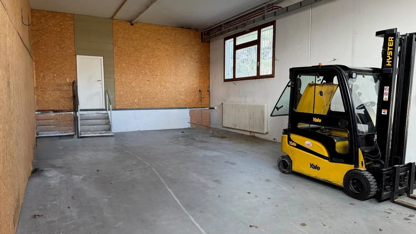 Proprietà industriale in affitto - Via Flora Ruchat-Roncati, 6850 Mendrisio