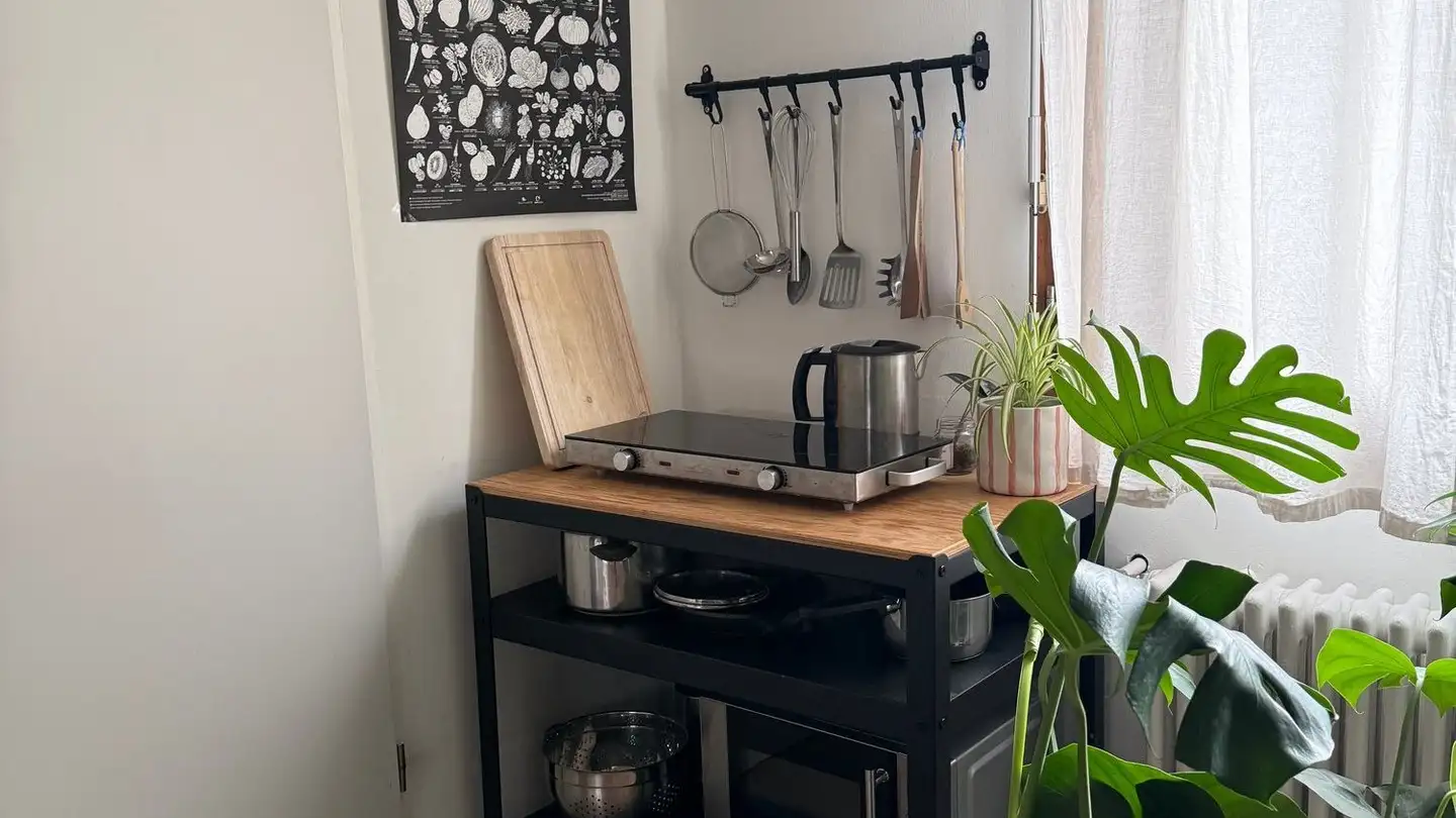 Studio in affitto - Altsagenstrasse 26, 6048 Horw - Foto 2