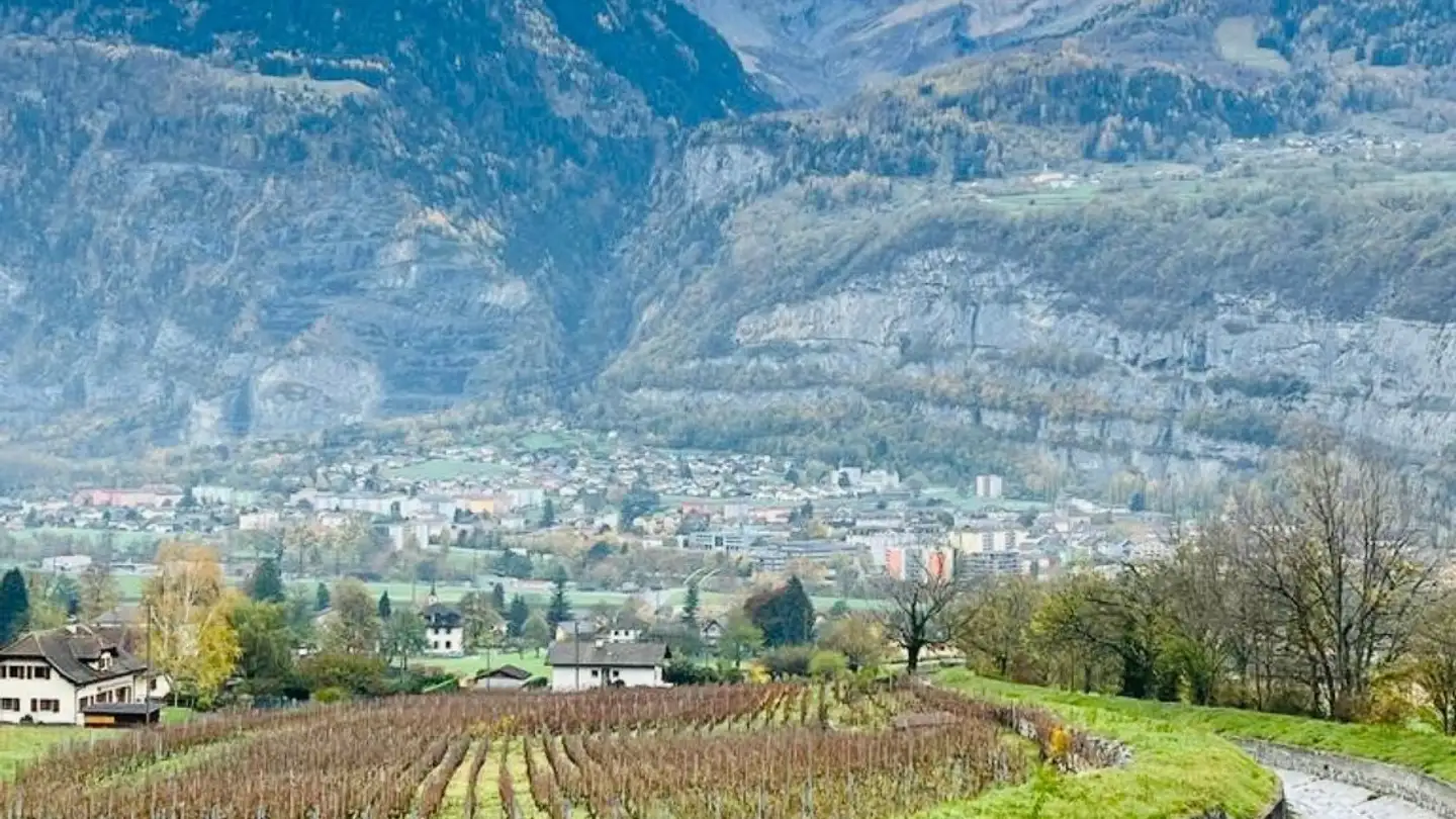 Single room for rent - Route De Vasselin 50, 1880 Bex - Photo 2