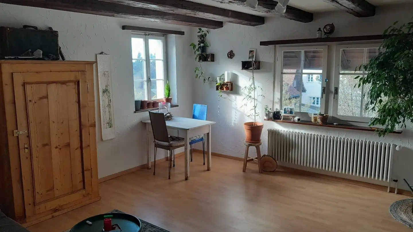Appartamento in affitto - Holzrai 4, 8602 Wangen b. Dübendorf