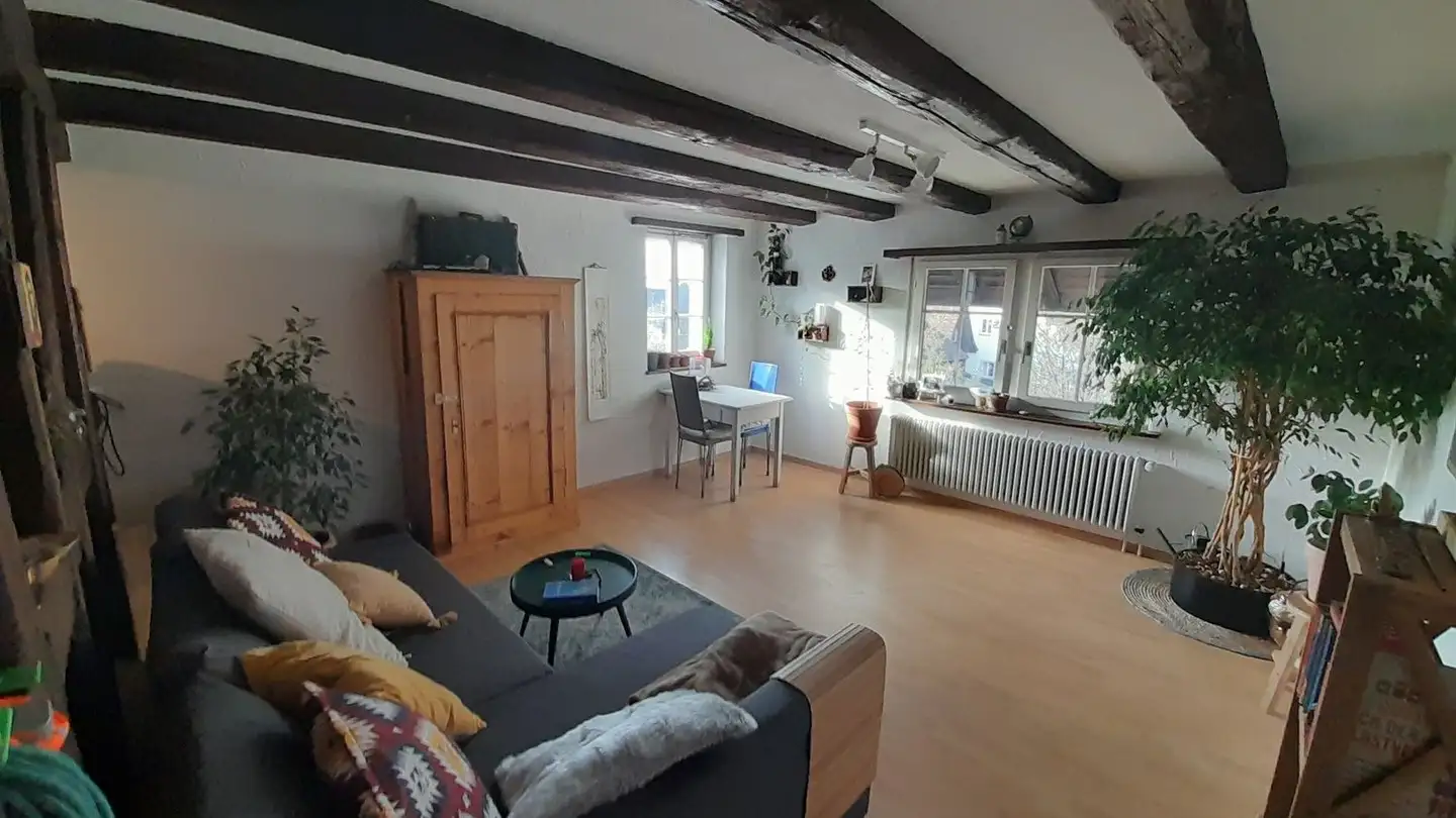 Appartamento in affitto - Holzrai 4, 8602 Wangen b. Dübendorf - Foto 2