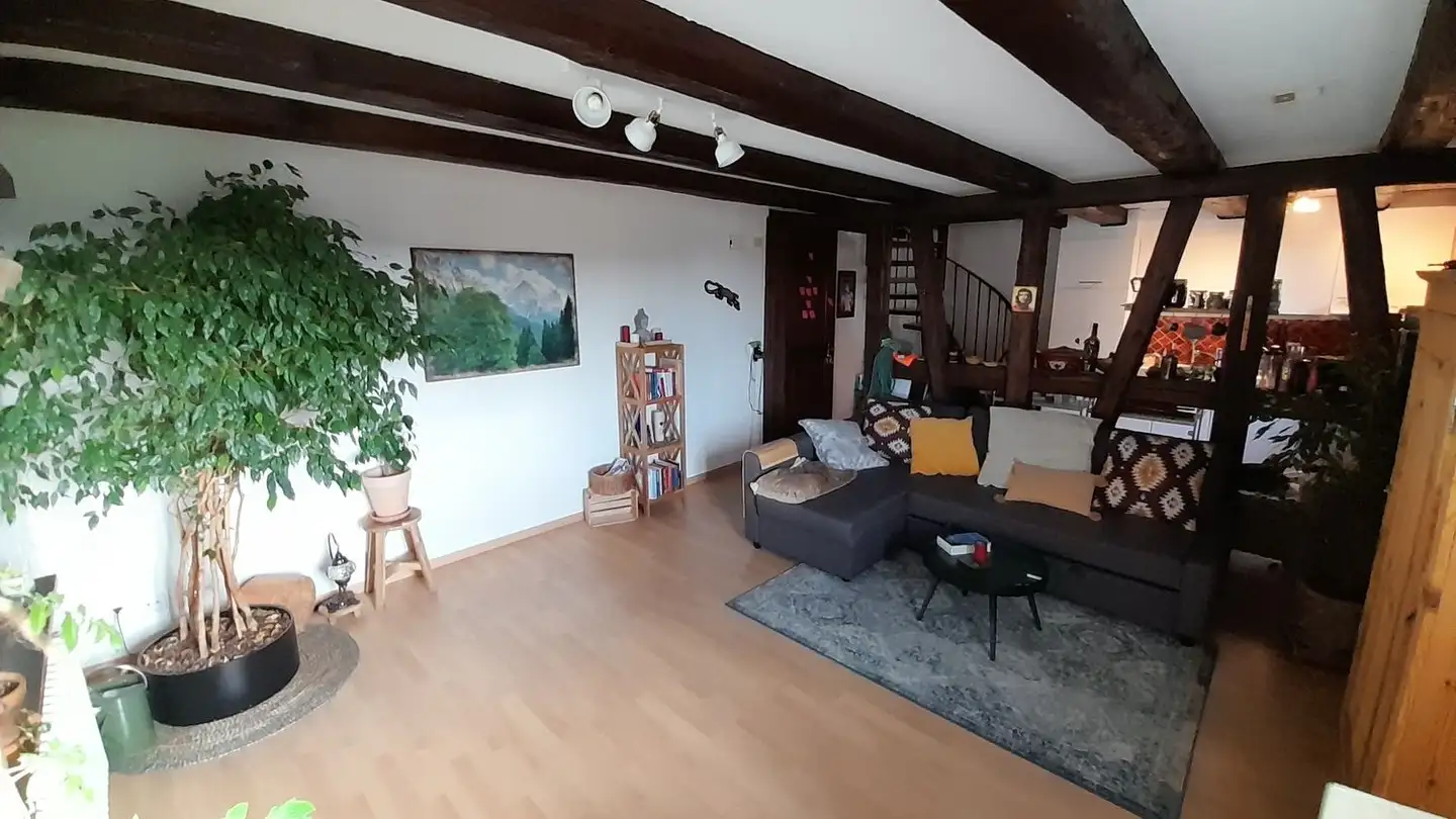 Appartamento in affitto - Holzrai 4, 8602 Wangen b. Dübendorf - Foto 3