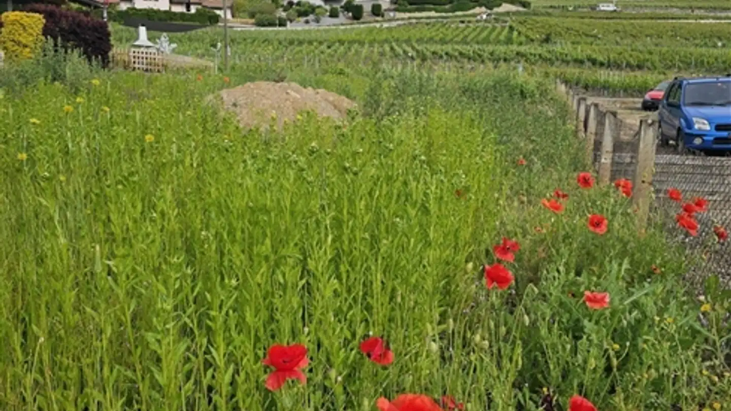 Appartamento in vendita - 1974 Arbaz - Photo 2