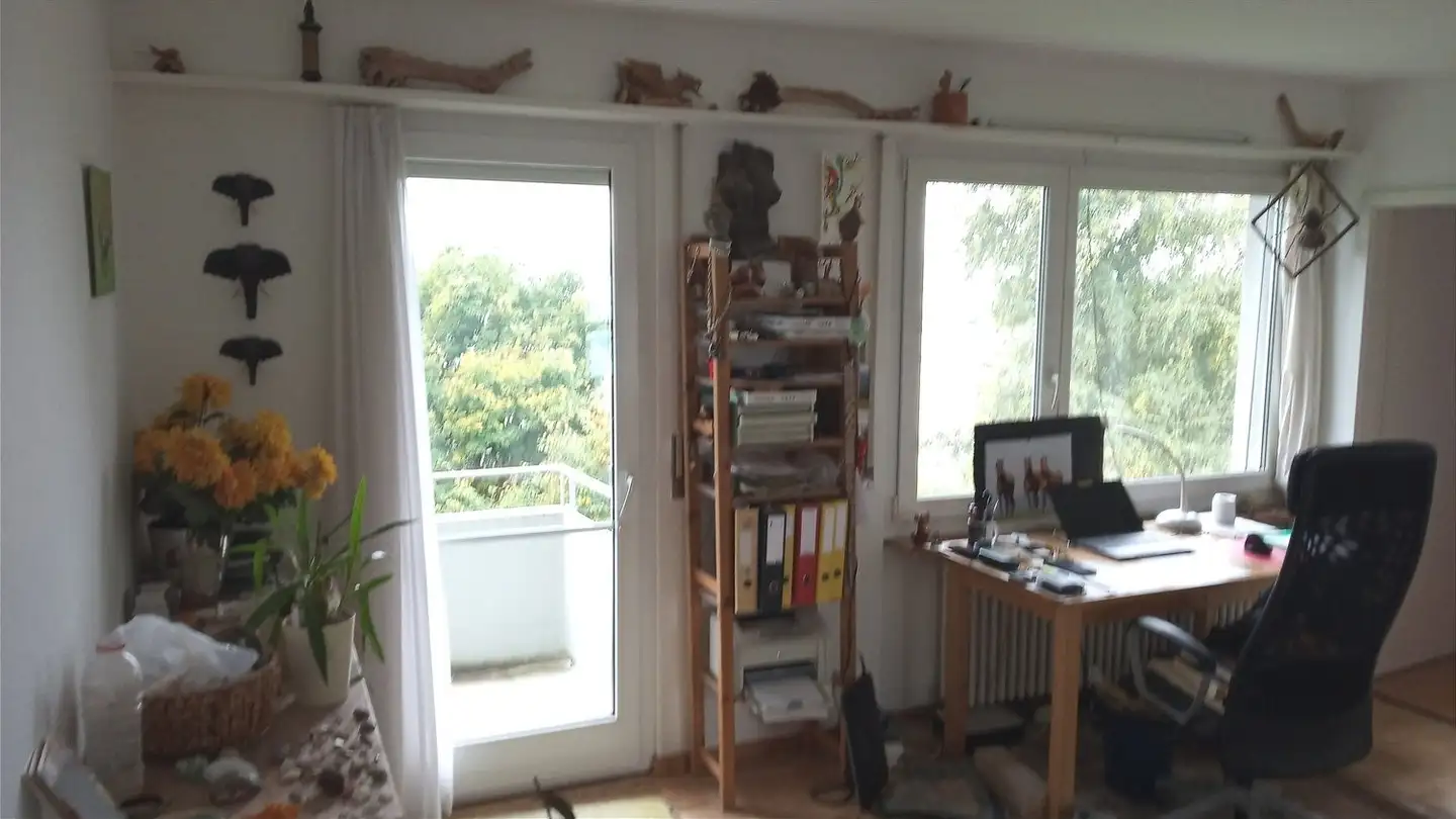 Furnished apartment for rent - 8712 Stäfa
