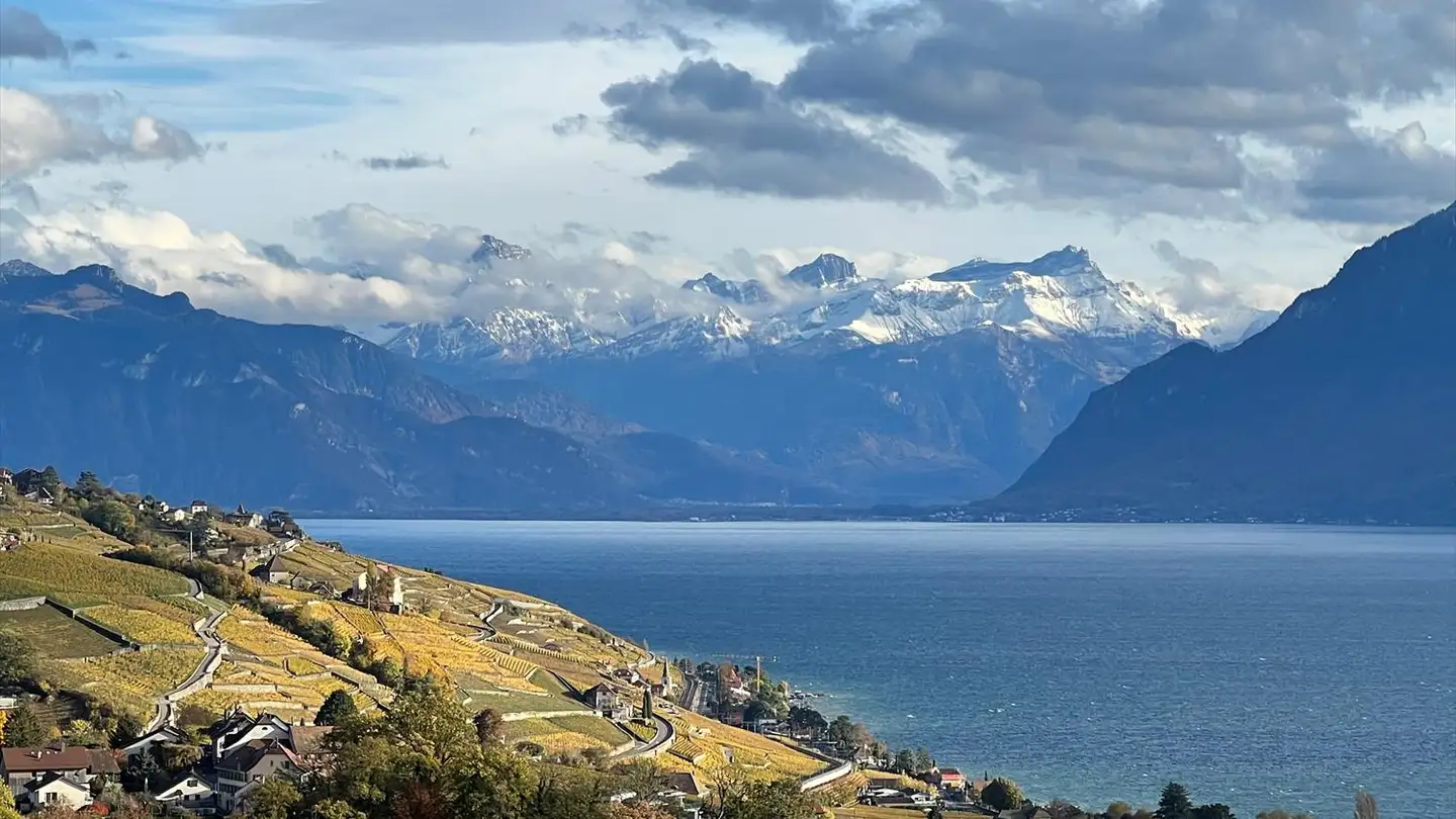 Appartamento in affitto - Chemin Des Marionnettes 87, 1093 La Conversion