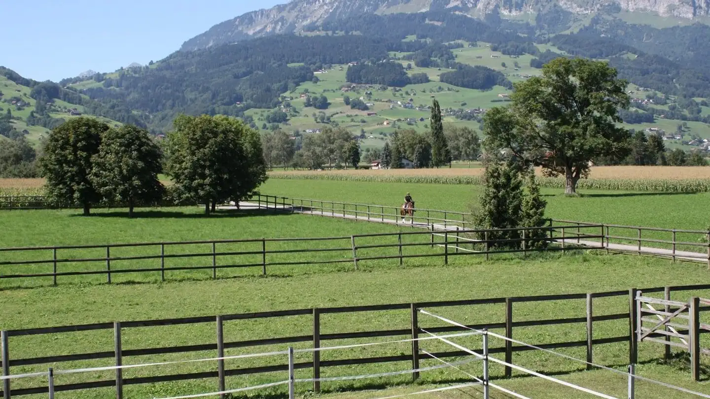 Apartment for rent - Unterer Geriälsweg 5, 9472 Grabs